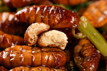 Crispy Golden Silkworm Pupa Traditional Shandong Dishes with Salt and Pepper Seasoning