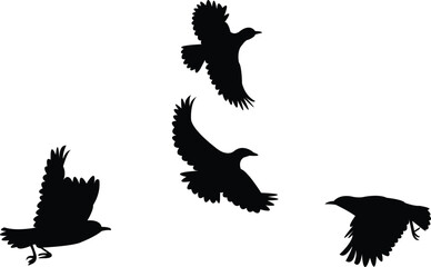 Flying Ant-eating chat Bird Silhouette Design And Vector Illustration. 