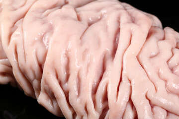 Fresh Raw Pork Sausage Casings for Homemade Meat Processing and Cooking Preparation