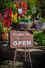 Autumn Pumpkin Patch at Ueno Farm, Hokkaido, Japan – Fall Harvest Landscape