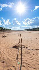 Sunny day on a dried-up riverbed