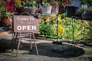 Autumn Pumpkin Patch at Ueno Farm, Hokkaido, Japan – Fall Harvest Landscape