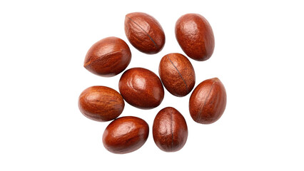 Natural brown seeds rounded shape and polished appearance isolated on transparent background