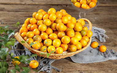 Fresh Kumquat Closeup in Wicker Basket on Rustic Wood Table - Golden Citrus Fruit Collection