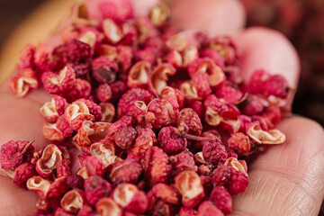 Fresh picked Sichuan Dahongpao peppercorns from Hanyuan - premium Chinese spice grains in cupped hands