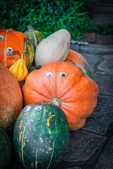 Autumn Pumpkin Patch at Ueno Farm, Hokkaido, Japan – Fall Harvest Landscape