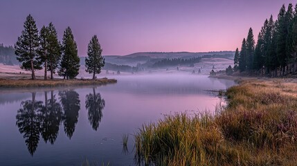 Fototapeta premium Misty morning lake reflects trees