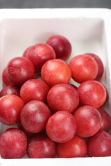 Fresh Red Australian Plums in Container - Premium Imported Darling Variety Fruit Collection