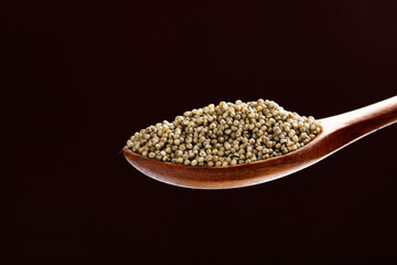 Organic millet grains in wooden spoon - healthy gluten-free cereal superfood on dark background