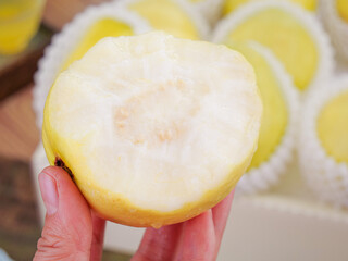 Fresh Sliced Guava Fruit in Hand Showing Creamy White Flesh and Yellow Skin
