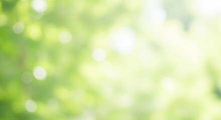 Obraz premium Blurry green and white background with bokeh effect. The natural light creates a soft, dreamy atmosphere.