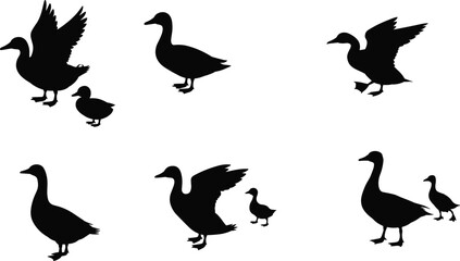 Duck and gosling silhouettes, bird family, wildlife illustration, parent and baby, nature scene, animal care, waterfowl art, outdoor life, natural behavior