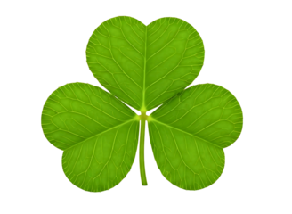 Green shamrock leaf isolated on transparent background