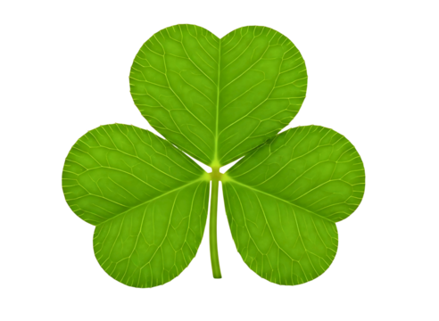 Green shamrock leaf isolated on transparent background