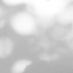 Background shadow white light wall floor backdrop overlay leaf mockup summer sunight overlay nature on room cement abstract blur muckup effect grey minimal platform for presentation product