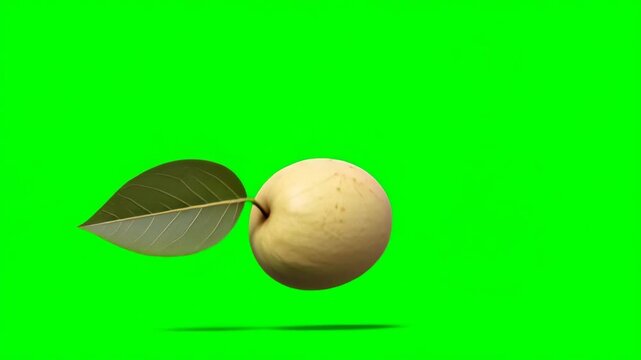 Fresh apple falling down and drooping with realistic bounce motion on green screen background, juicy fruit drop animation