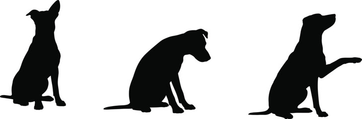 Dog silhouettes sitting, black and white pet illustration, canine posture art, domestic animal design, training gesture graphic, puppy sitting poses