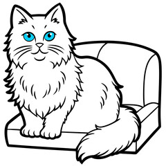 Obraz premium cat blue eyes