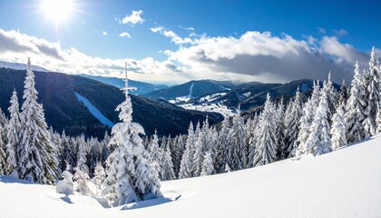 Fototapeta premium Snowy mountain vista with snow-covered trees