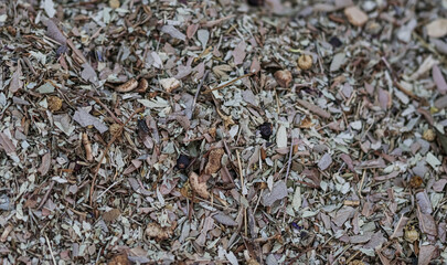 Fototapeta premium Medicinal herbs. Alternative medicine. Infusion.
