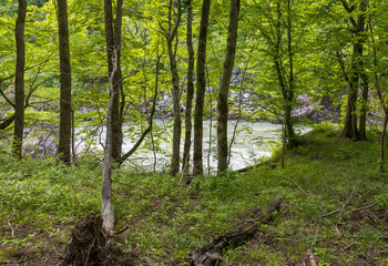 a mountain river and the surrounding area with woodlands and clearings with paths