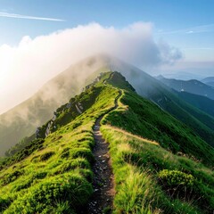 Mountain path winding through misty peak