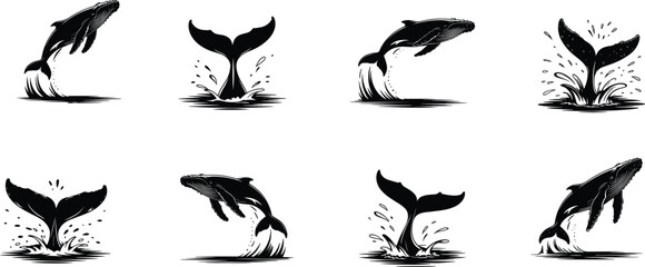 Whale illustration artwork, black and white whale drawing, marine life sketch, ocean wildlife art, breaching whale design, aquatic animal concept, nature graphic