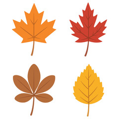 autumn maple leaves set isolated on white background illustration with orange yellow red and brown fall foliage pattern