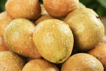 Fresh Golden Guava Fruits with Water Droplets on Wooden Background