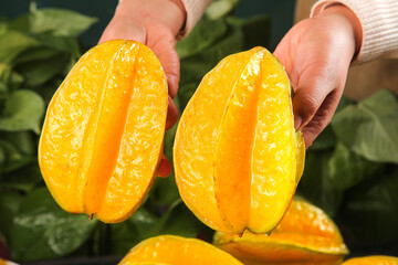 Fresh Yellow Tropical Peaches from Hainan - Juicy Cut Fruit with Seeds in Hands