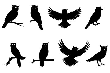 Set of  black silhouette of an owls in different positions