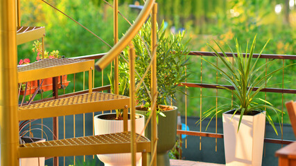 Steel spiral gold staircase on the terrace with plants and plants in pots background.