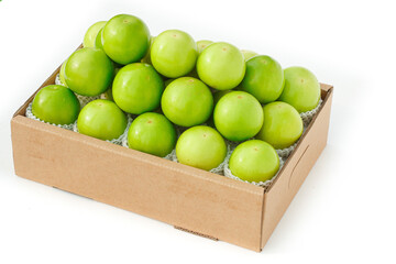 Fresh Green Fujian Guifei Jujube Dates in Box on White Background