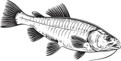 Vintage Fish engraving outline vector art illustration design, Fish silhouette, hand drawn, line art fish design