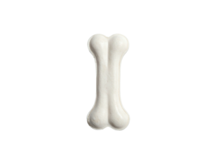 White dog bone toy, simple and clean