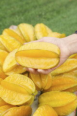 Fresh Yellow Star Fruit in Hand - Ripe Tropical Carambola with Natural Star Shape Cross Section