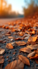 Autumn leaves in golden hour fallen tranquil cozy scene