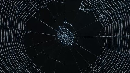 Creepy timelapse of spiderweb being spun on dark background for halloween or horror content