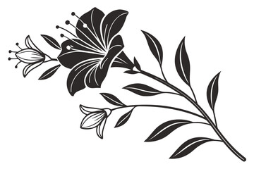 Black and white flower illustration - floral design vector | editable svg