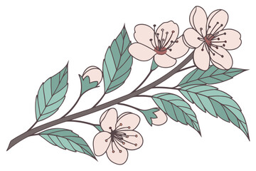 Cherry blossom branch illustration - floral art print | editable svg