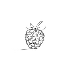 Single raspberry with stem in minimalist black line art style