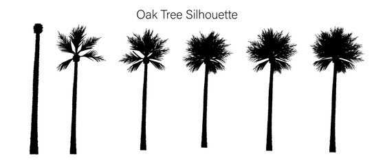 Silhouette of a row of palm trees with varying degrees of foliage density and growth stages in black and white