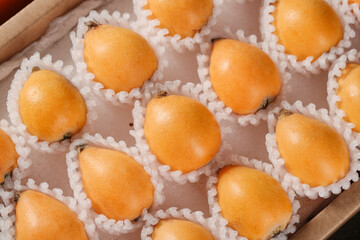 Fresh Loquat Fruits in Protective Packaging - Premium Asian Citrus Produce in Wooden Crate