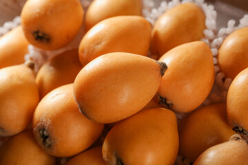 Fresh Loquat Fruits from Panzhihua - Golden Orange Asian Fruits Display