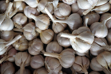 A detailed, top-down shot of a large pile of fresh garlic bulbs, highlighting their texture and natural pattern. This image is perfect for themes of cooking, fresh ingredients, and healthy food.