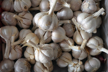 A detailed, top-down shot of a large pile of fresh garlic bulbs, highlighting their texture and natural pattern. This image is perfect for themes of cooking, fresh ingredients, and healthy food.