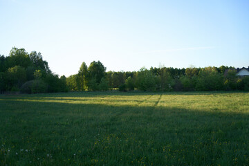 Rural landscape with freshly tilled soil rows