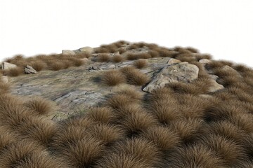 A segment of dry, tufted brown grass with scattered rocks is presented as a distinct terrain element on a clean white background. T