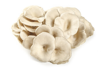 Fresh Sliced Edible Mushrooms on White Background - Organic Cooking Ingredient