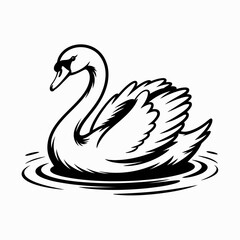 Black and White Vector Illustration of Swan Swimming in Water | Detailed Swan Drawing with Line Art Feathers | Stylized Swan Artwork for Stock Graphics